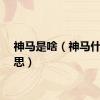 神马是啥（神马什么意思）