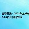 宝馨科技：2024年上半年净亏损1.06亿元 同比转亏
