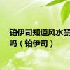 铂伊司知道风水禁言录吗（铂伊司）