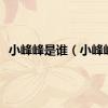 小峰峰是谁（小峰峰）