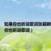 如果你也听说歌词张靓颖（如果你也听说歌词）