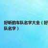好听的车队名字大全（好听的车队名字）