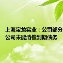 上海宝龙实业:公司部分并表子公司未能清偿到期债务