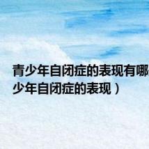 青少年自闭症的表现有哪些(青少年自闭症的表现)