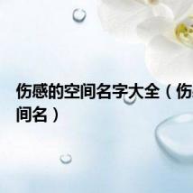 伤感的空间名字大全（伤感的空间名）