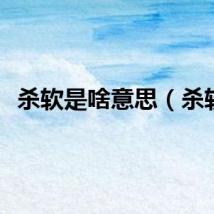 杀软是啥意思（杀软）