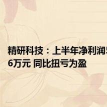 精研科技:上半年净利润5921.26万元 同比扭亏为盈