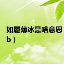 如履薄冰是啥意思（rnvb）