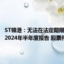 ST锦港:无法在法定期限内披露2024年半年度报告 股票停牌