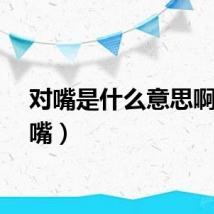 对嘴是什么意思啊（对嘴）