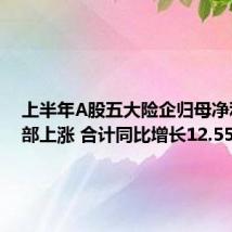 上半年A股五大险企归母净利润全部上涨 合计同比增长12.55%