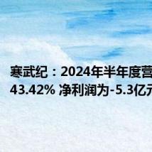 寒武纪:2024年半年度营收下降43.42% 净利润为-5.3亿元