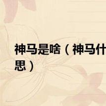 神马是啥（神马什么意思）