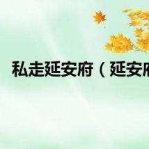 私走延安府(延安府)