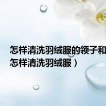 怎样清洗羽绒服的领子和袖口(怎样清洗羽绒服)