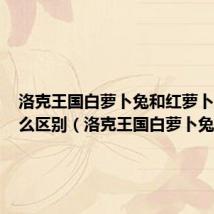 洛克王国白萝卜兔和红萝卜兔有什么区别(洛克王国白萝卜兔)