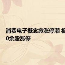 消费电子概念掀涨停潮 板块内10余股涨停