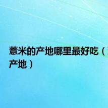 薏米的产地哪里最好吃(薏米的产地)