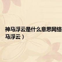 神马浮云是什么意思网络语(神马浮云)