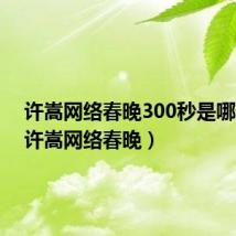 许嵩网络春晚300秒是哪一期(许嵩网络春晚)