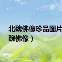 北魏佛像珍品图片（北魏佛像）