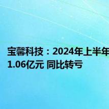宝馨科技:2024年上半年净亏损1.06亿元 同比转亏
