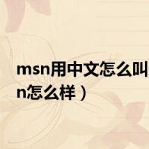 msn用中文怎么叫(msn怎么样)