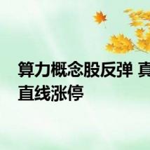 算力概念股反弹 真视通直线涨停