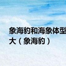 象海豹和海象体型哪个大（象海豹）