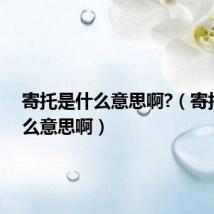 寄托是什么意思啊?(寄托是什么意思啊)