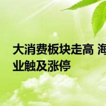 大消费板块走高 海天味业触及涨停