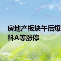 房地产板块午后爆发 万科A等涨停