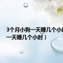 3个月小狗一天睡几个小时(狗一天睡几个小时)