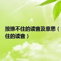 按捺不住的读音及意思(按捺不住的读音)