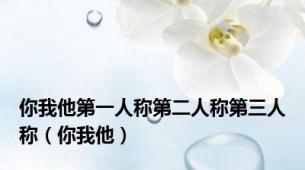 你我他第一人称第二人称第三人称（你我他）