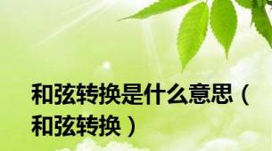 和弦转换是什么意思（和弦转换）