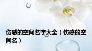 伤感的空间名字大全（伤感的空间名）