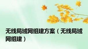 无线局域网组建方案（无线局域网组建）