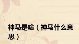 神马是啥（神马什么意思）