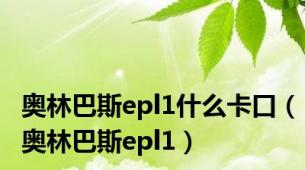 奥林巴斯epl1什么卡口（奥林巴斯epl1）