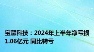 宝馨科技：2024年上半年净亏损1.06亿元 同比转亏