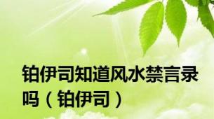 铂伊司知道风水禁言录吗（铂伊司）