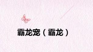霸龙宠（霸龙）