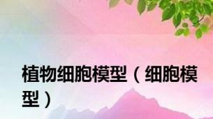 植物细胞模型（细胞模型）