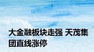 大金融板块走强 天茂集团直线涨停