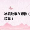 冰霜纹章在哪换（冰霜纹章）