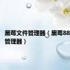 黑莓文件管理器（黑莓8830桌面管理器）
