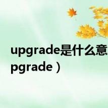 upgrade是什么意思(upgrade)