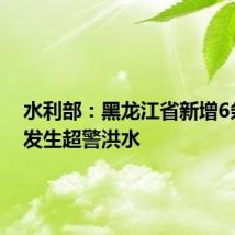 水利部:黑龙江省新增6条河流发生超警洪水