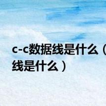 c-c数据线是什么(数据线是什么)